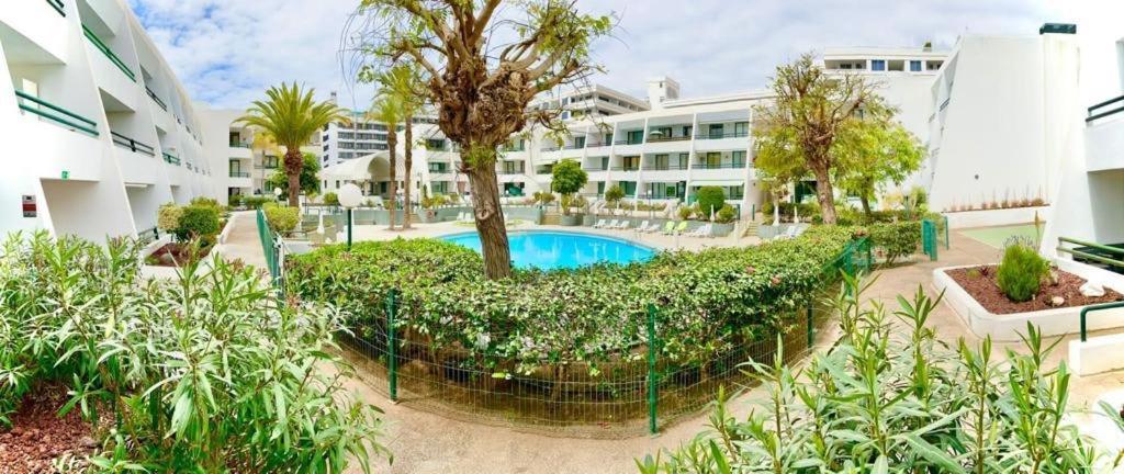Optimist Playa De Las Americas Apartment Bagian luar foto